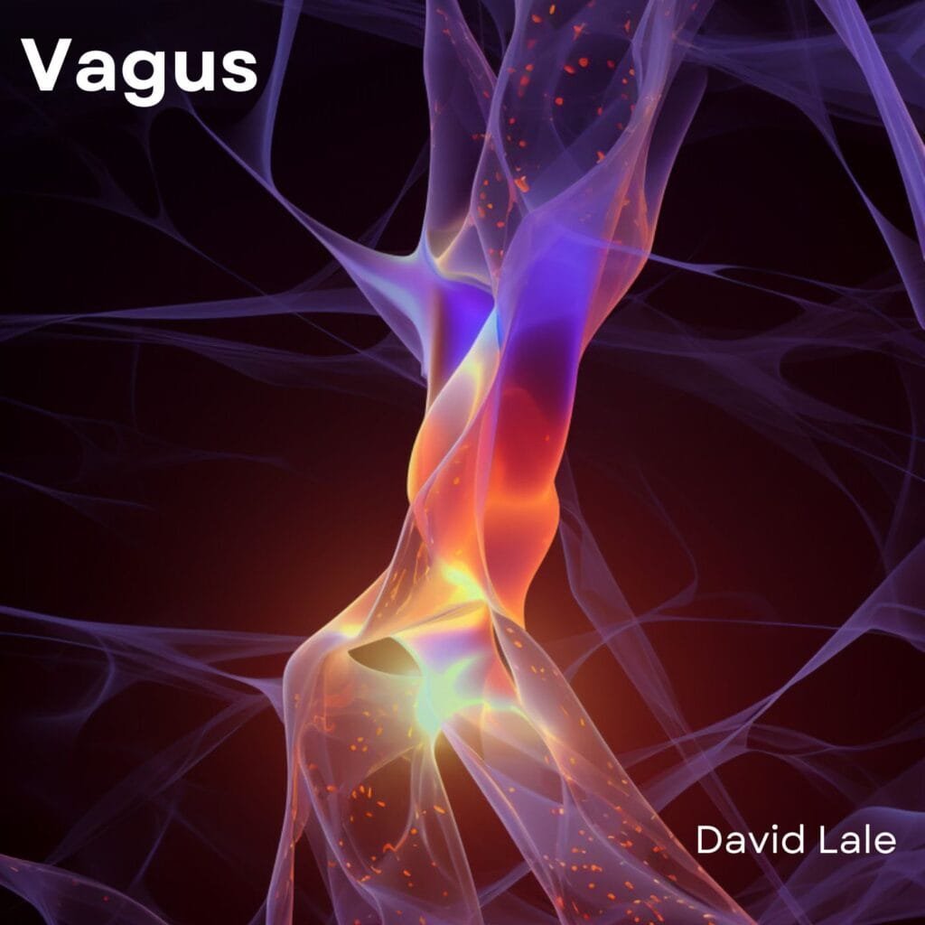 David Lale - Vagus - Cover Artwork