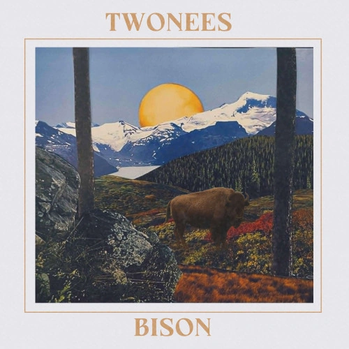 Twonees' bison Turns a Returning Herd Into Spaghetti-Western Folk
