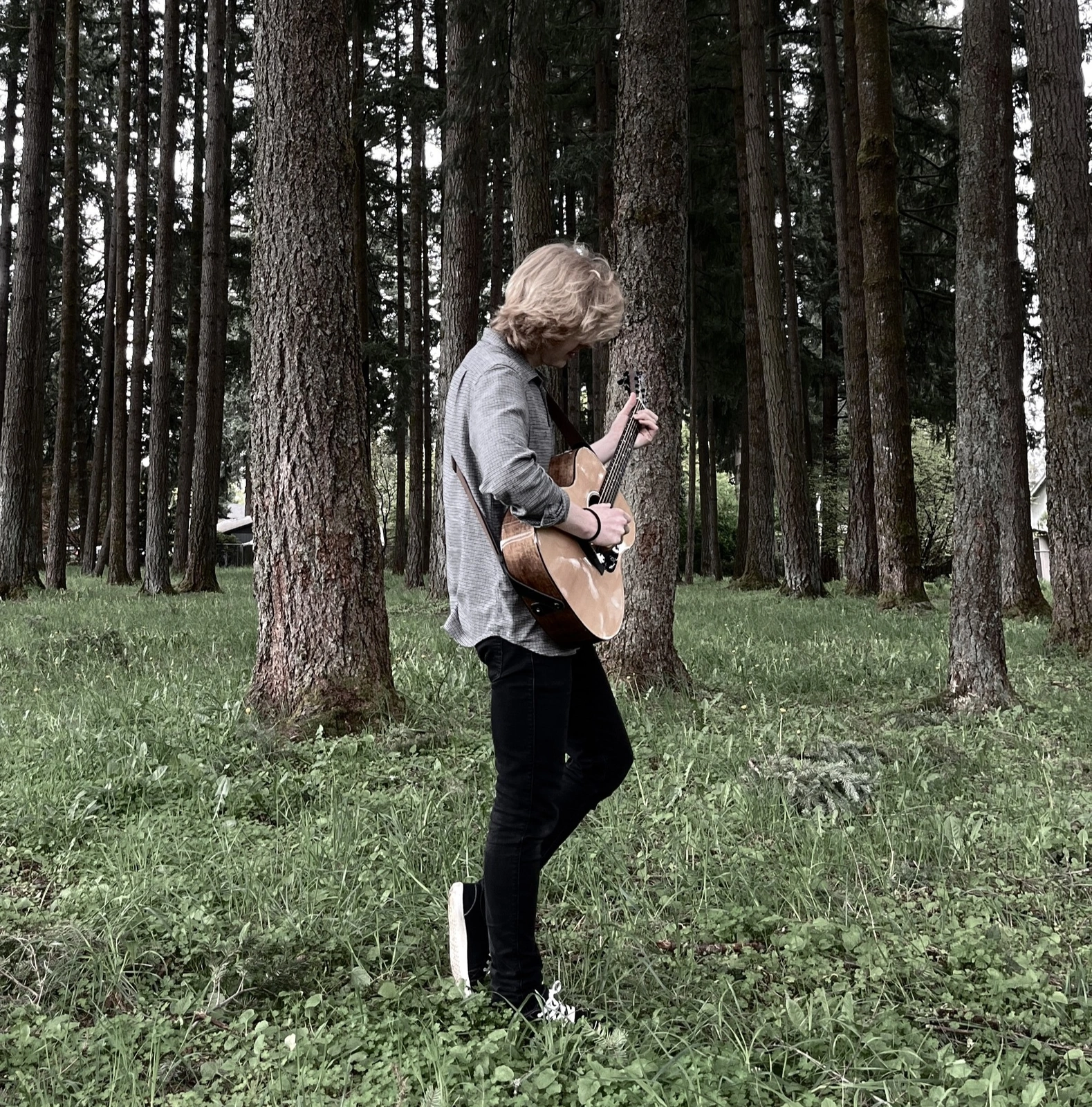 Havre De Grace Widens His Folk Sound on "Into the Wild"